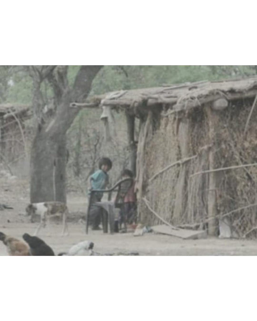 Contexto rural