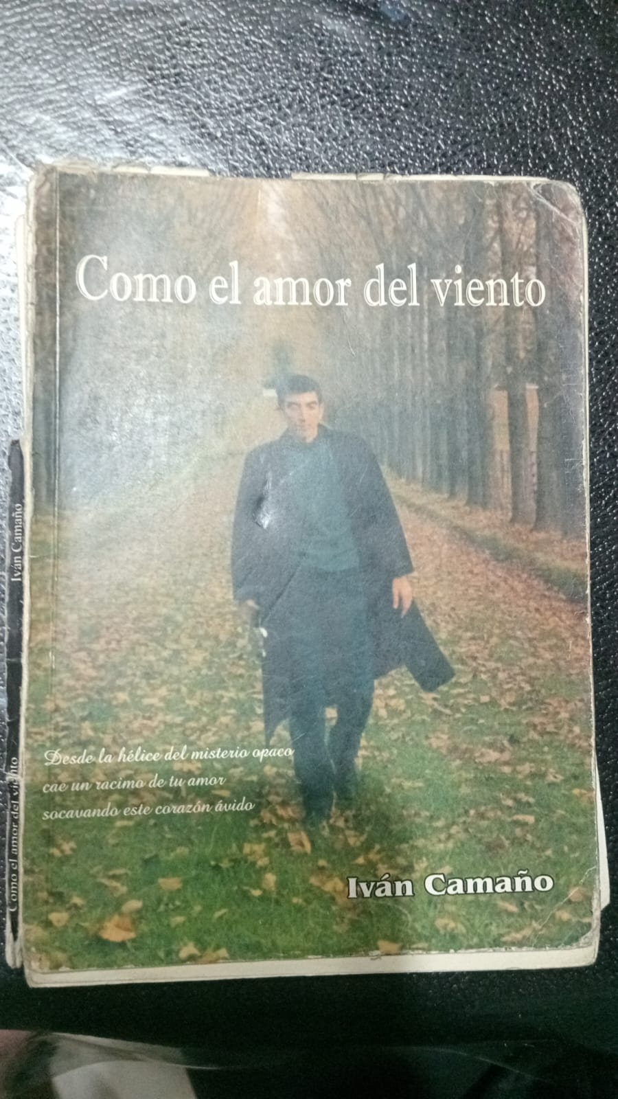 Libro Como el amor del viento, de Iván Camaño